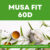 Projeto Musa Fit 60d